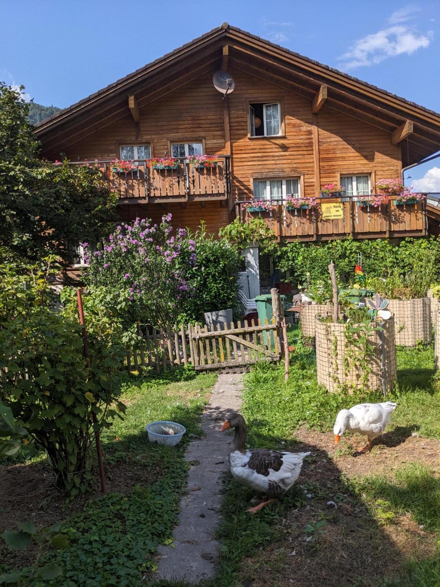 Die Aelplersuit Im Berghuesli -Ganz Einfach - Ganz Unkompliziert-Ganz Relaxd Linthal Exterior foto