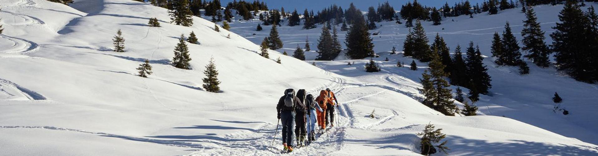 Die Aelplersuit Im Berghuesli -Ganz Einfach - Ganz Unkompliziert-Ganz Relaxd Linthal Exterior foto