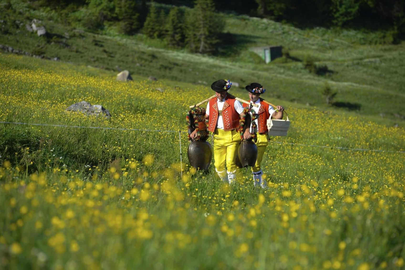 Die Aelplersuit Im Berghuesli -Ganz Einfach - Ganz Unkompliziert-Ganz Relaxd Linthal Exterior foto